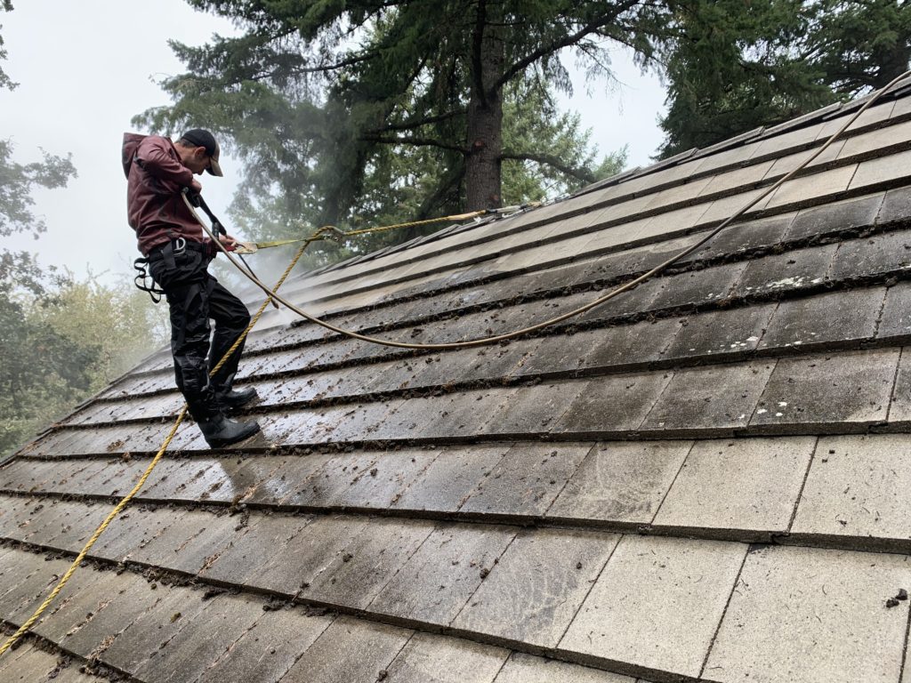 Roof Moss Removal Services in Factoria WA
